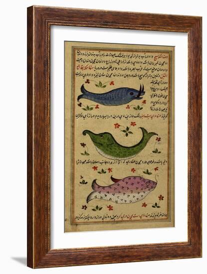 Three Fish-null-Framed Giclee Print