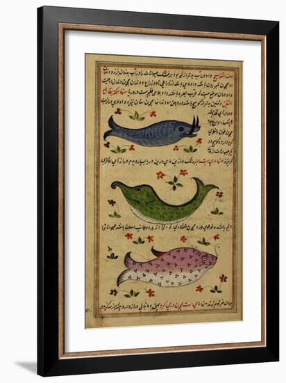 Three Fish-null-Framed Giclee Print