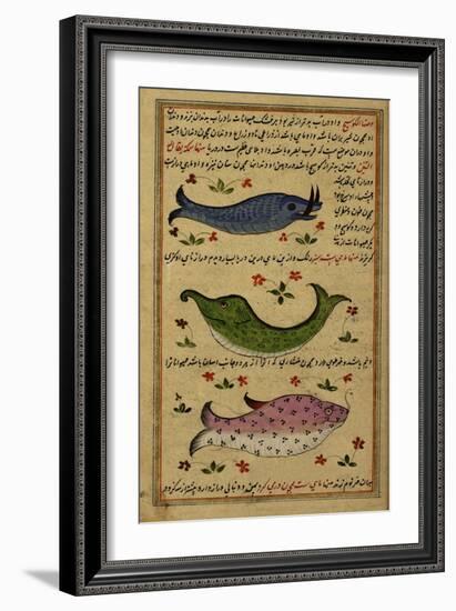 Three Fish-null-Framed Giclee Print