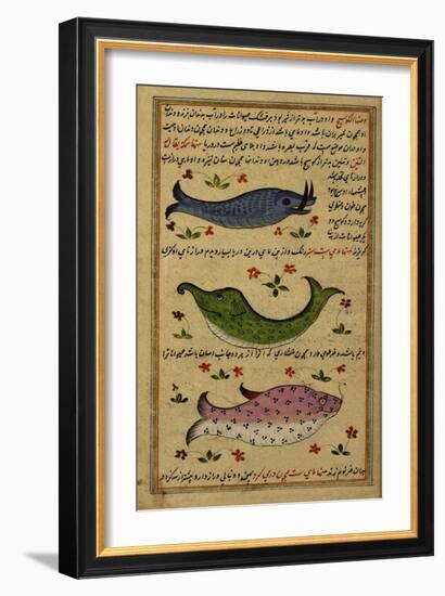 Three Fish-null-Framed Giclee Print