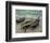 Three Fishing Boats, 1886-Claude Monet-Framed Art Print