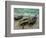 Three Fishing Boats, 1886-Claude Monet-Framed Giclee Print