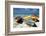 Three Fishing Boats Aruba-George Oze-Framed Photographic Print