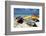 Three Fishing Boats Aruba-George Oze-Framed Photographic Print