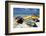 Three Fishing Boats Aruba-George Oze-Framed Photographic Print