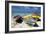 Three Fishing Boats Aruba-George Oze-Framed Photographic Print