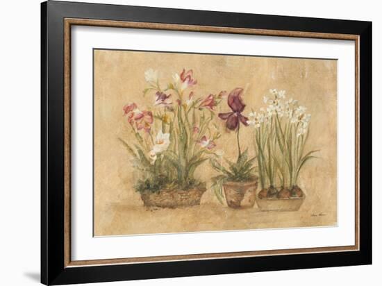 Three Floral Baskets-Cheri Blum-Framed Art Print