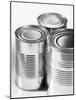 Three Food Tins Without Labels-Colin Erricson-Mounted Photographic Print