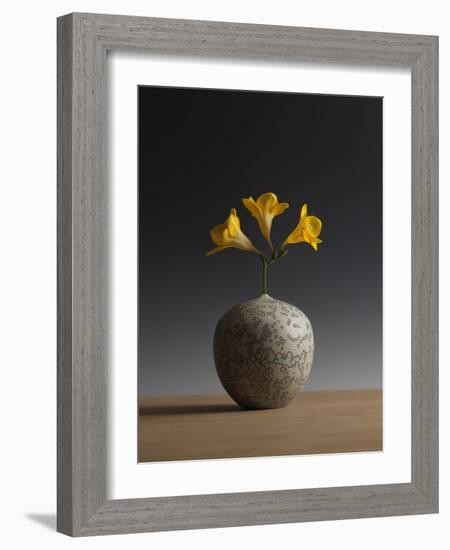 Three Freesia Blossoms-Geoffrey Ansel Agrons-Framed Photographic Print