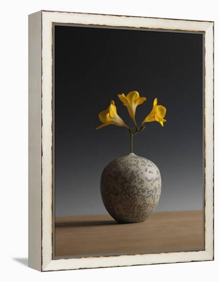 Three Freesia Blossoms-Geoffrey Ansel Agrons-Framed Premier Image Canvas