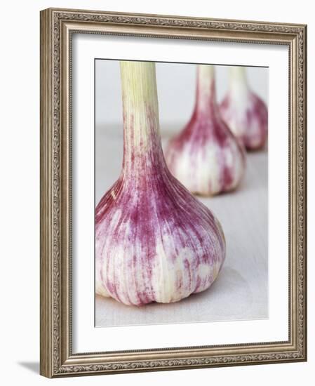 Three Fresh Garlic Bulbs-Linda Burgess-Framed Photographic Print