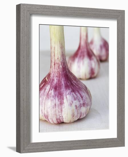 Three Fresh Garlic Bulbs-Linda Burgess-Framed Photographic Print