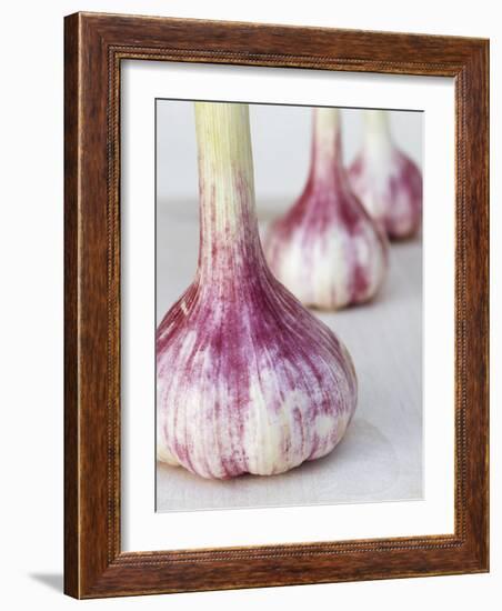 Three Fresh Garlic Bulbs-Linda Burgess-Framed Photographic Print