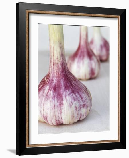 Three Fresh Garlic Bulbs-Linda Burgess-Framed Photographic Print