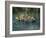 Three Frogs Sitting on Rock-moodboard-Framed Photographic Print