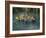 Three Frogs Sitting on Rock-moodboard-Framed Photographic Print