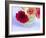 Three Gerbera Daisies Blue-Sabine Jacobs-Framed Photographic Print