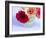 Three Gerbera Daisies Blue-Sabine Jacobs-Framed Photographic Print