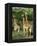 Three Giraffe, Giraffa Camelopardalis, Itala Game Reserve, Kwazulu-Natal, South Africa, Africa-Ann & Steve Toon-Framed Premier Image Canvas