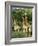 Three Giraffe, Giraffa Camelopardalis, Itala Game Reserve, Kwazulu-Natal, South Africa, Africa-Ann & Steve Toon-Framed Photographic Print