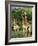 Three Giraffe, Giraffa Camelopardalis, Itala Game Reserve, Kwazulu-Natal, South Africa, Africa-Ann & Steve Toon-Framed Photographic Print