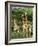 Three Giraffe, Giraffa Camelopardalis, Itala Game Reserve, Kwazulu-Natal, South Africa, Africa-Ann & Steve Toon-Framed Photographic Print