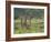 Three Giraffes, Pilanesberg Game Reserve, North West Province, South Africa, Africa-Ann & Steve Toon-Framed Photographic Print