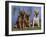 Three Golden Retrievers, USA-Lynn M. Stone-Framed Photographic Print