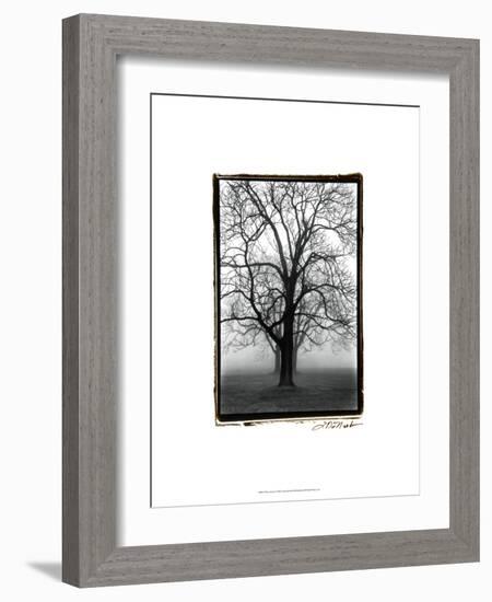 Three Graces-Laura Denardo-Framed Premium Giclee Print