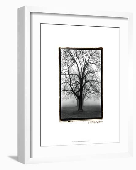 Three Graces-Laura Denardo-Framed Premium Giclee Print