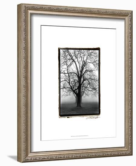 Three Graces-Laura Denardo-Framed Art Print