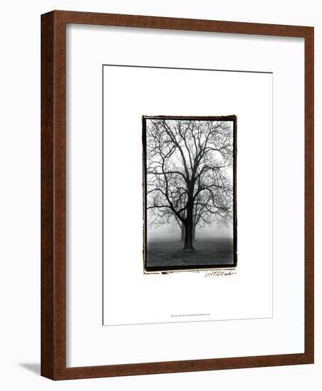 Three Graces-Laura Denardo-Framed Art Print