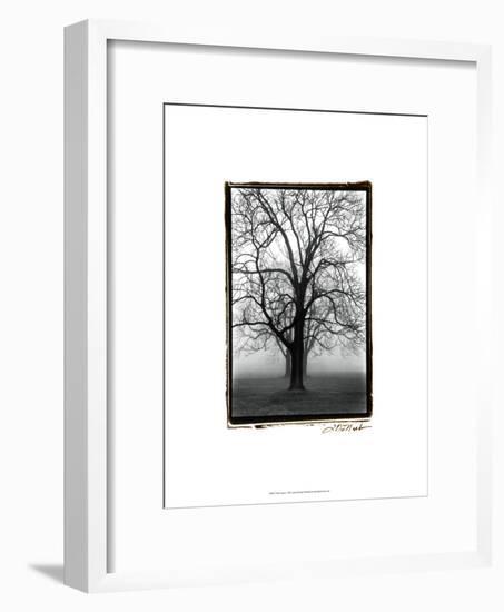 Three Graces-Laura Denardo-Framed Art Print