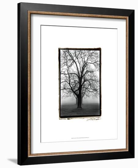 Three Graces-Laura Denardo-Framed Art Print