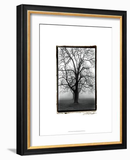 Three Graces-Laura Denardo-Framed Art Print