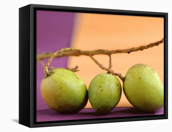 Three Green Mangos on a Branch-Luzia Ellert-Framed Premier Image Canvas