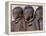 Three Happy Himba Children Enjoy Watching a Dance, Namibia-Nigel Pavitt-Framed Premier Image Canvas