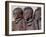 Three Happy Himba Children Enjoy Watching a Dance, Namibia-Nigel Pavitt-Framed Photographic Print