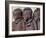 Three Happy Himba Children Enjoy Watching a Dance, Namibia-Nigel Pavitt-Framed Photographic Print