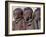 Three Happy Himba Children Enjoy Watching a Dance, Namibia-Nigel Pavitt-Framed Photographic Print