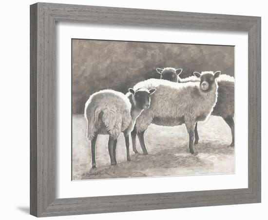 Three Heirloom Sheep-Gwendolyn Babbitt-Framed Art Print