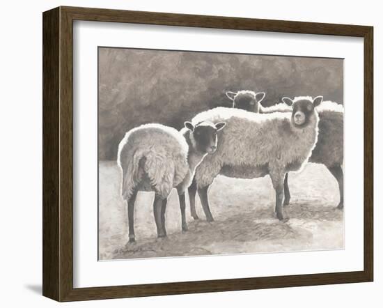 Three Heirloom Sheep-Gwendolyn Babbitt-Framed Art Print