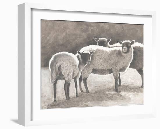 Three Heirloom Sheep-Gwendolyn Babbitt-Framed Art Print