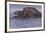 Three hippopotamus, Chobe National Park, Botswana, Africa.-Brenda Tharp-Framed Photographic Print