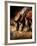 Three Horses Drinking in Dusky Light-Sheila Haddad-Framed Photographic Print