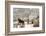 Three Horses in Pasture with Snow, Near Kanab, Utah-Howie Garber-Framed Photographic Print