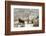 Three Horses in Pasture with Snow, Near Kanab, Utah-Howie Garber-Framed Photographic Print