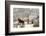 Three Horses in Pasture with Snow, Near Kanab, Utah-Howie Garber-Framed Photographic Print