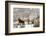 Three Horses in Pasture with Snow, Near Kanab, Utah-Howie Garber-Framed Photographic Print