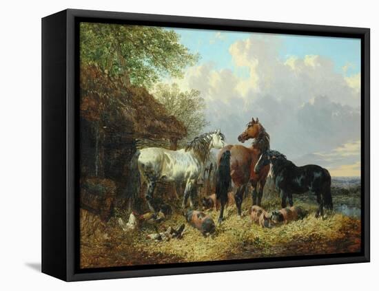 Three Horses with Pigs-John Frederick Herring Jnr-Framed Premier Image Canvas